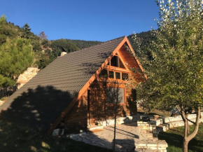 Chalet in the Forest